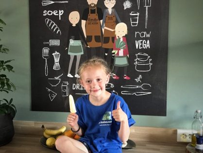 Yoghurt mango ijs zelf maken zonder ijsmachine