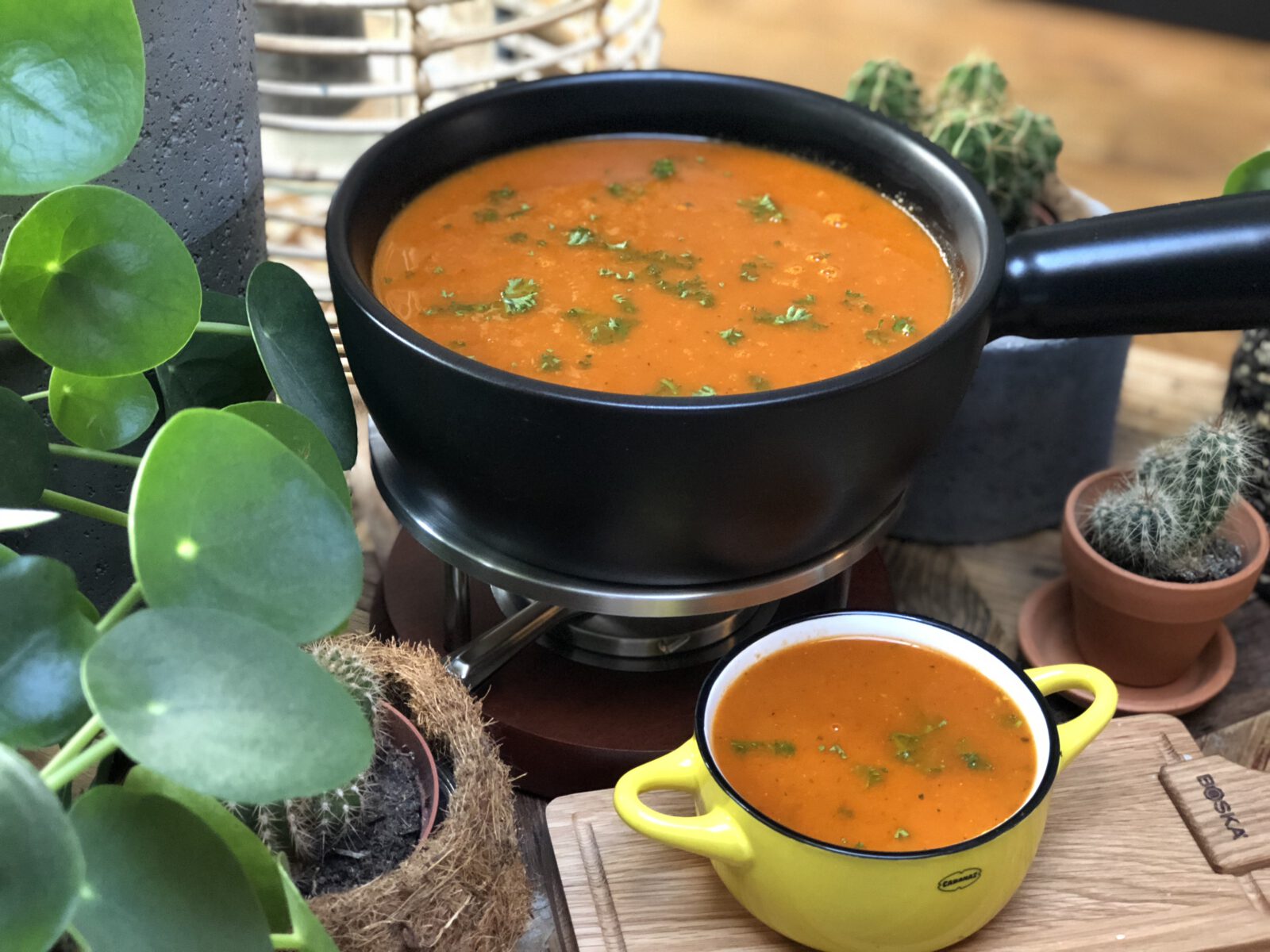 Thuis bij familie over de kook: week 41