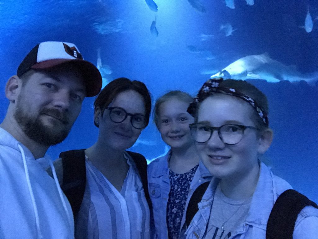 L'Oceanográfic in Valencia, het grootste aquarium in Europa