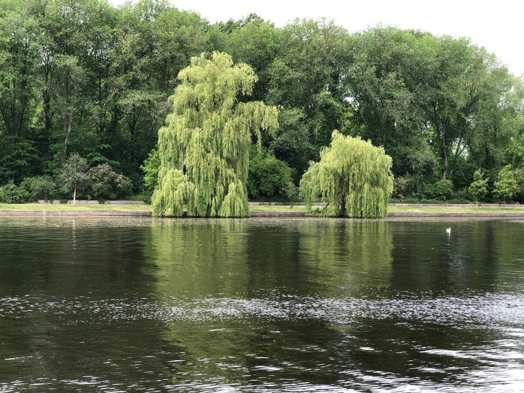 Strandzuid in Amsterdam: restaurant review