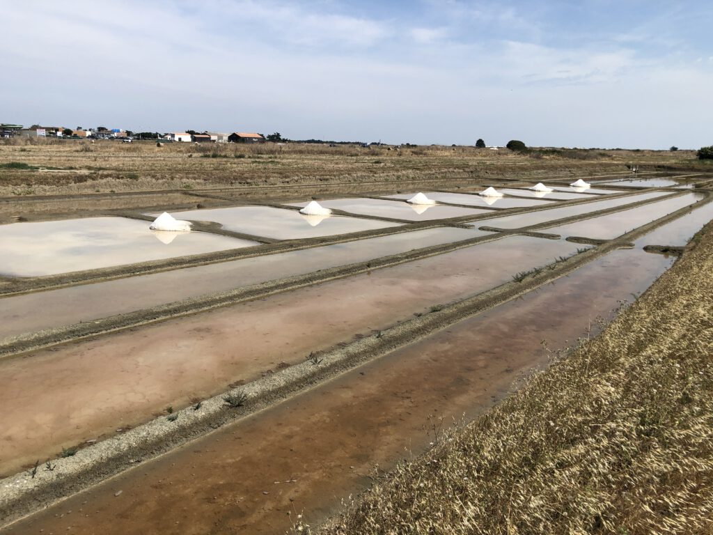 zoutwinning eiland noirmoutier