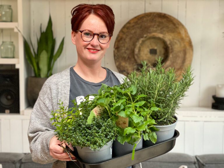 Koken met verse kruiden: hoe gebruik je ze?