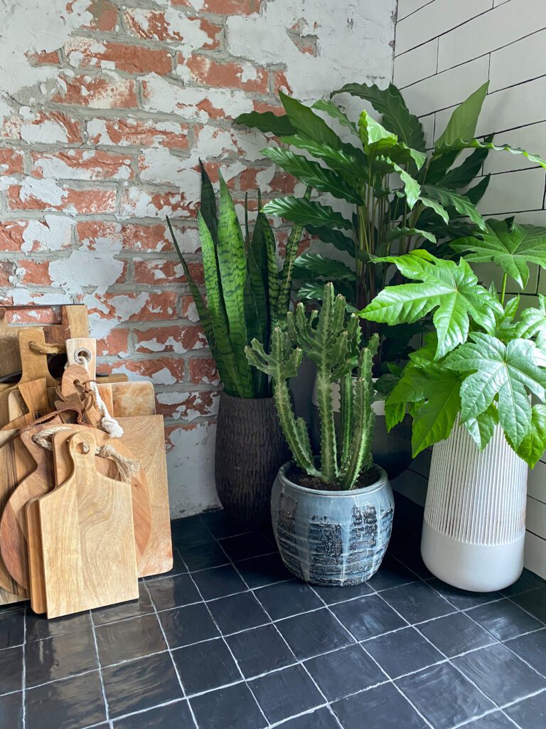 planten in de keuken 