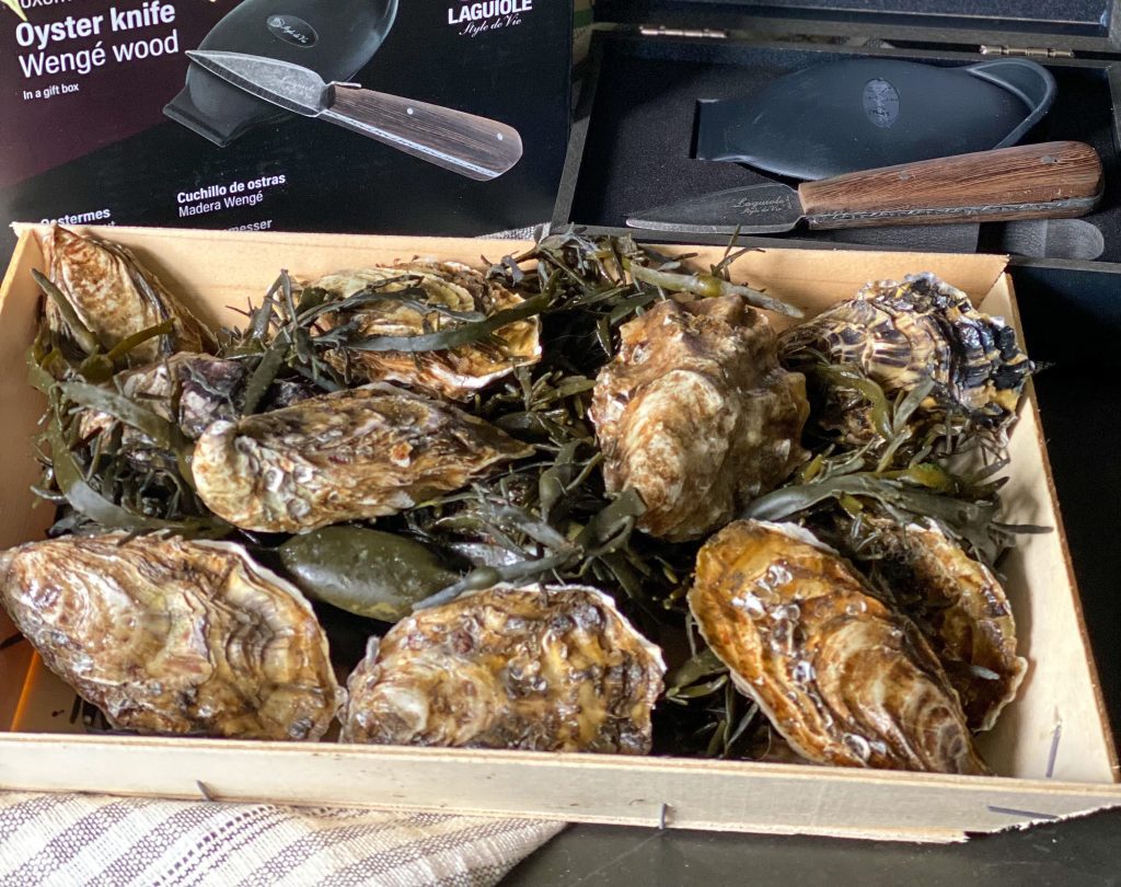 hoe maak je een oester open