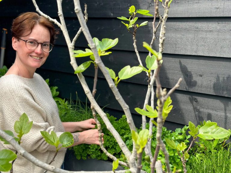 Column: tips voor een smakelijk voorjaar met verse kruiden