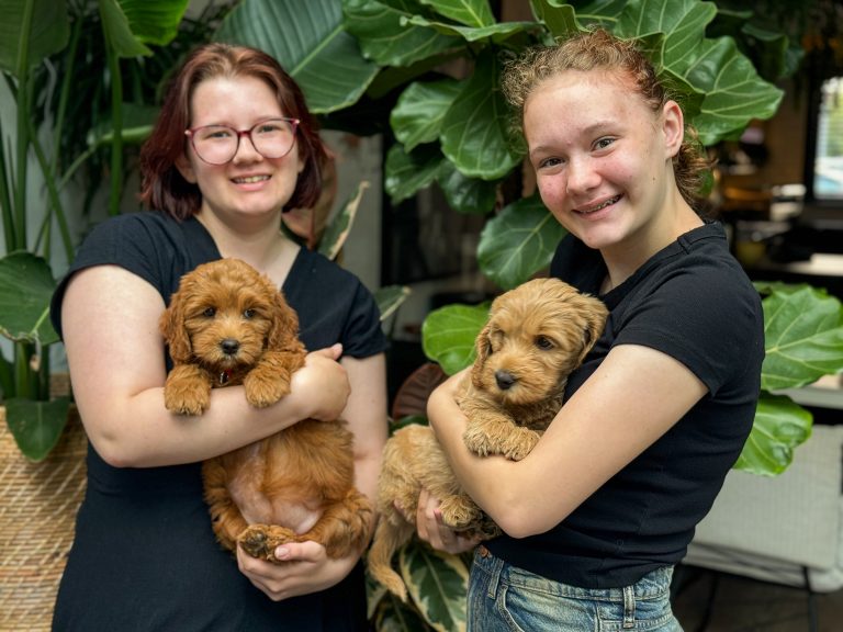 Welkom Teun en Puck