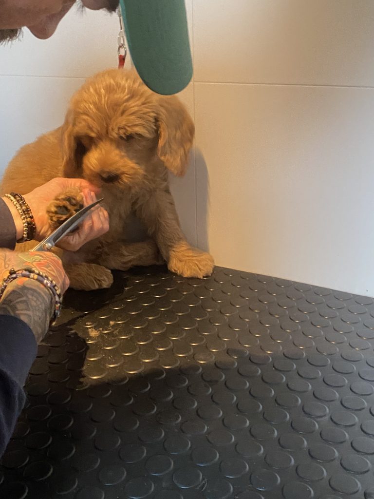 Thuis bij familie over de kook augustus