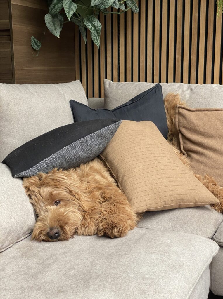 Thuis bij Familie over de Kook - week 6