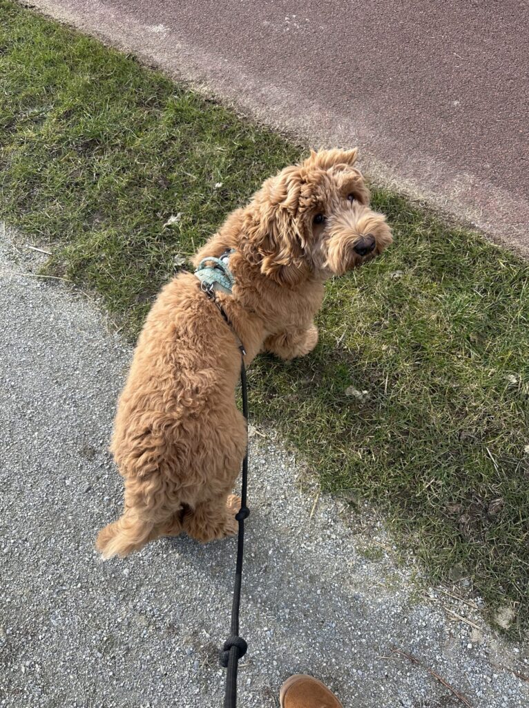 Thuis bij Familie over de Kook - week 6