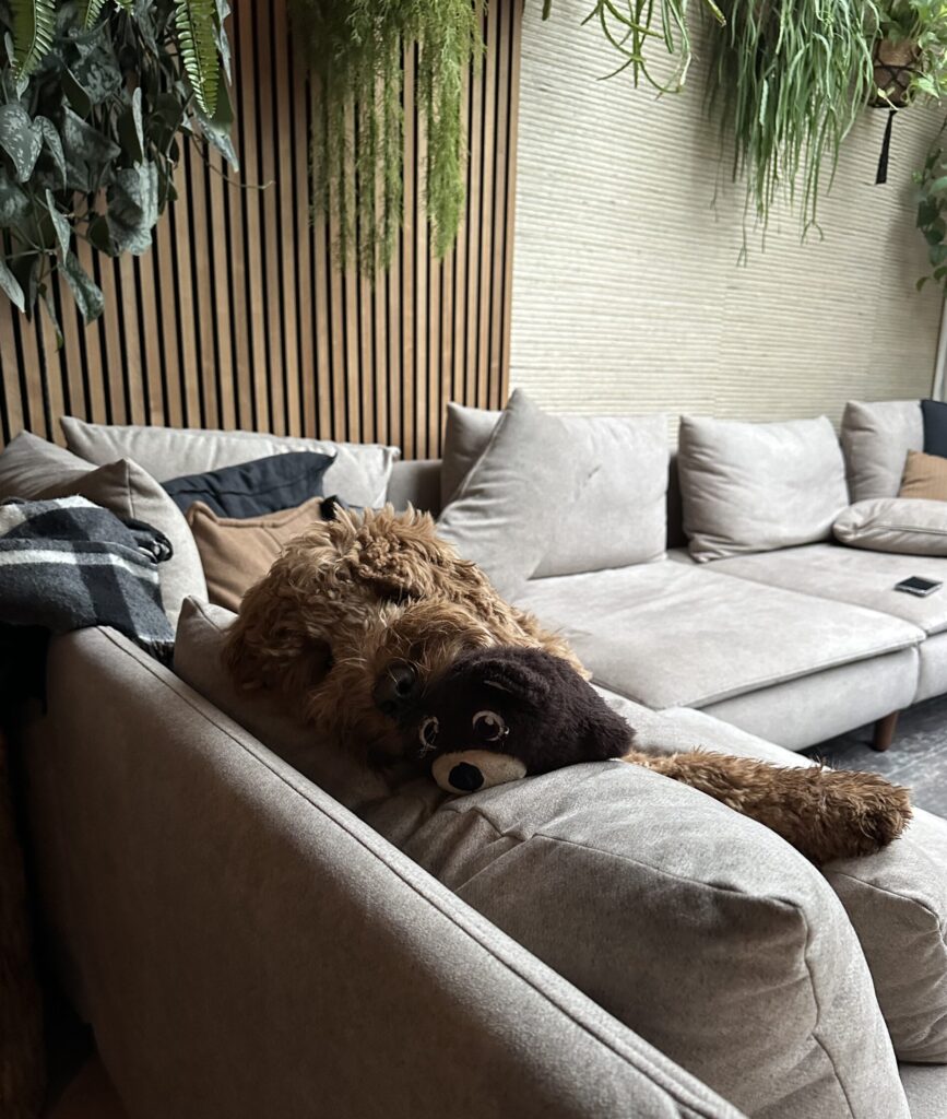 Thuis bij Familie over de Kook – week 8