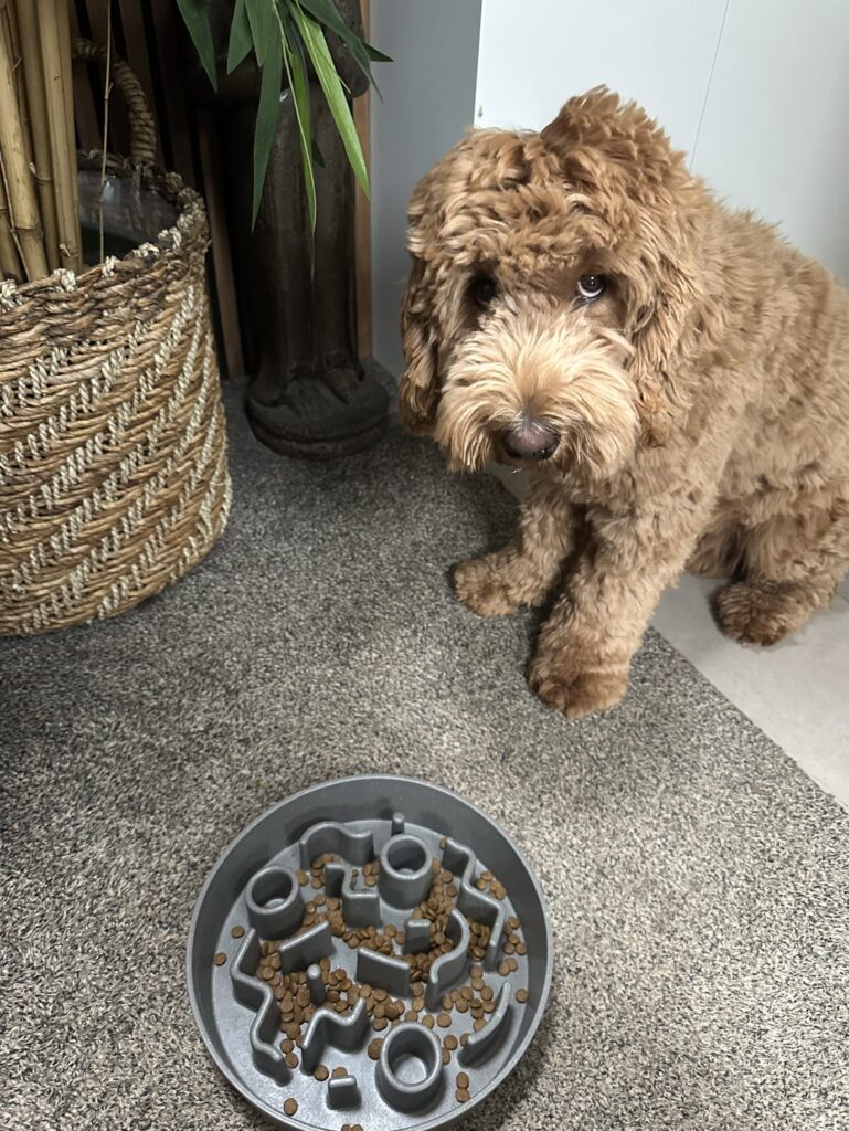 Thuis bij Familie over de Kook – week 8