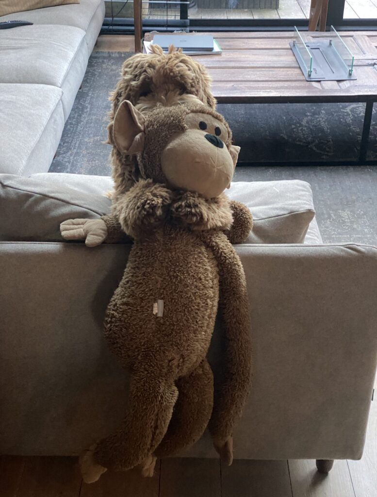 Thuis bij Familie over de Kook – week 11