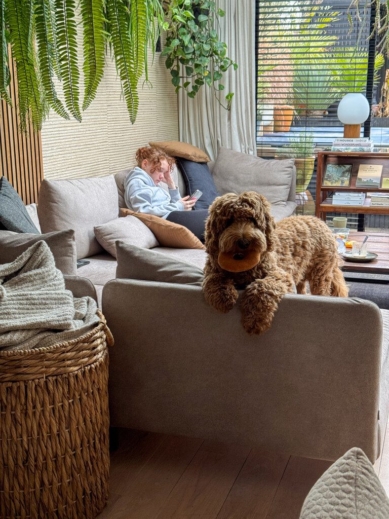 Thuis bij Familie over de Kook – week 9