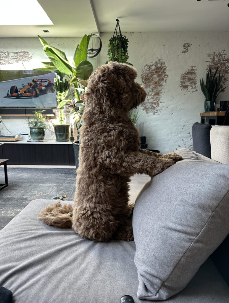 Thuis bij Familie over de Kook – week 10