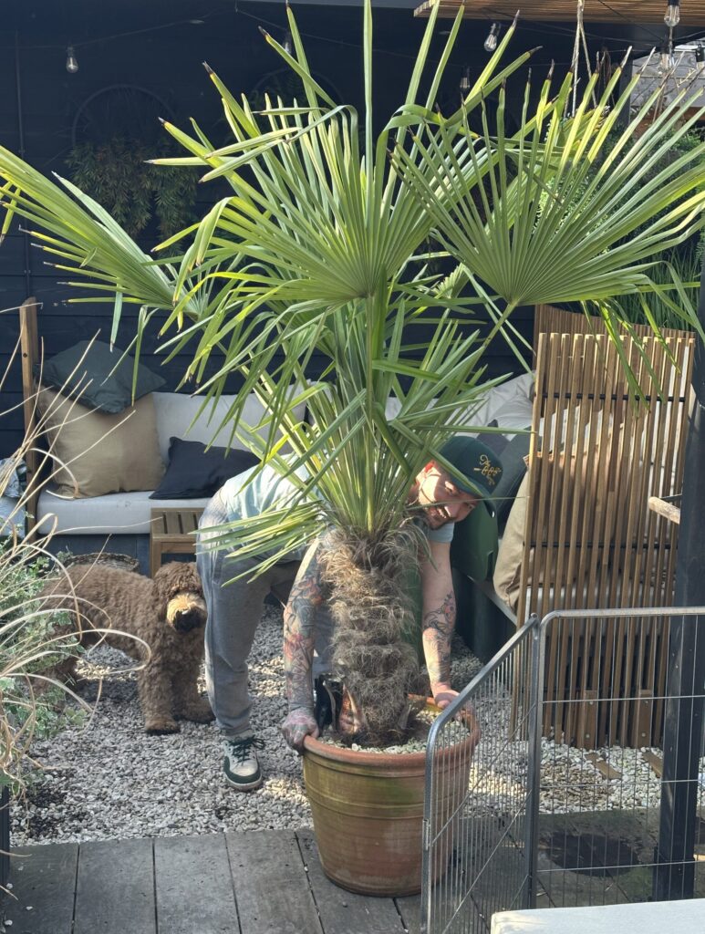 Thuis bij Familie over de Kook – week 11