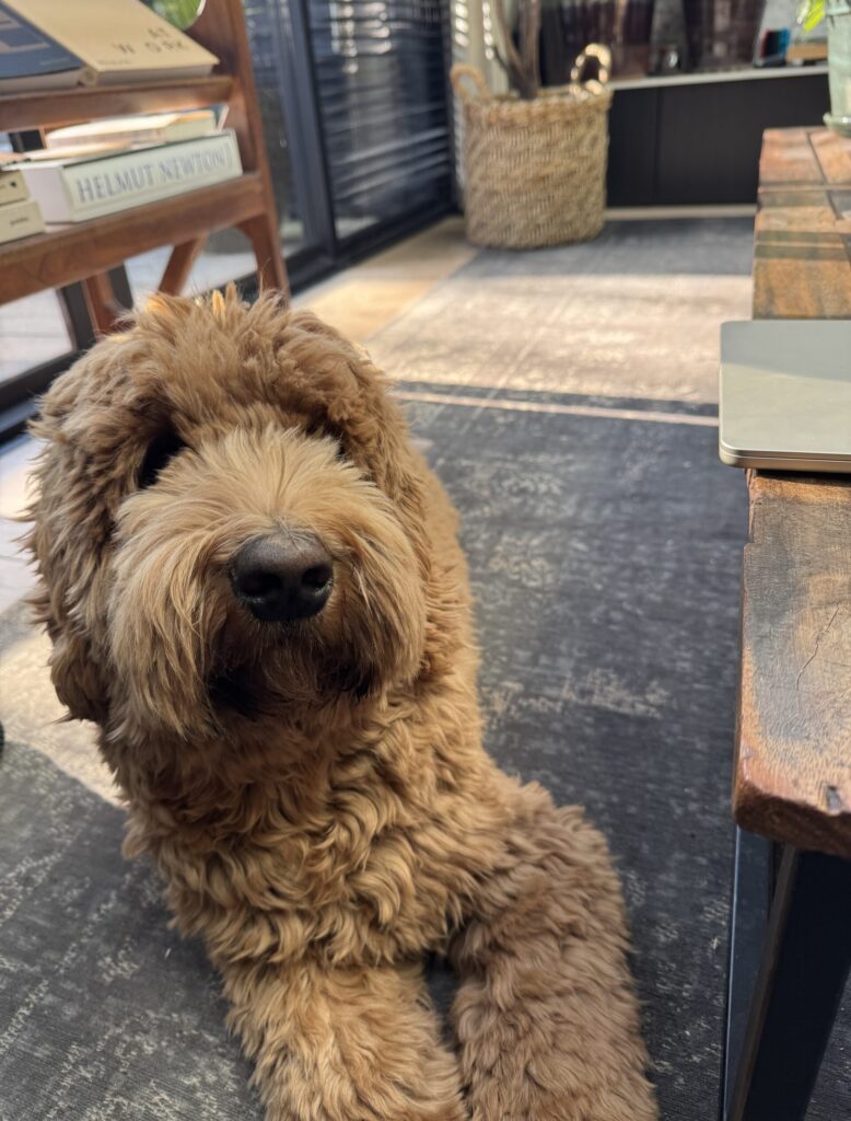 Thuis bij Familie over de Kook – week 11