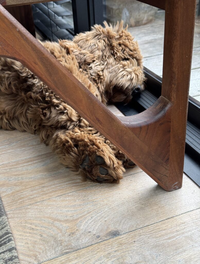 Thuis bij Familie over de Kook - week 12