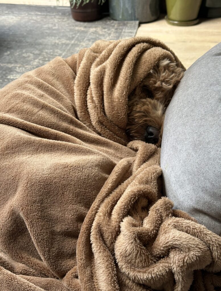 Thuis bij Familie over de Kook – week 13