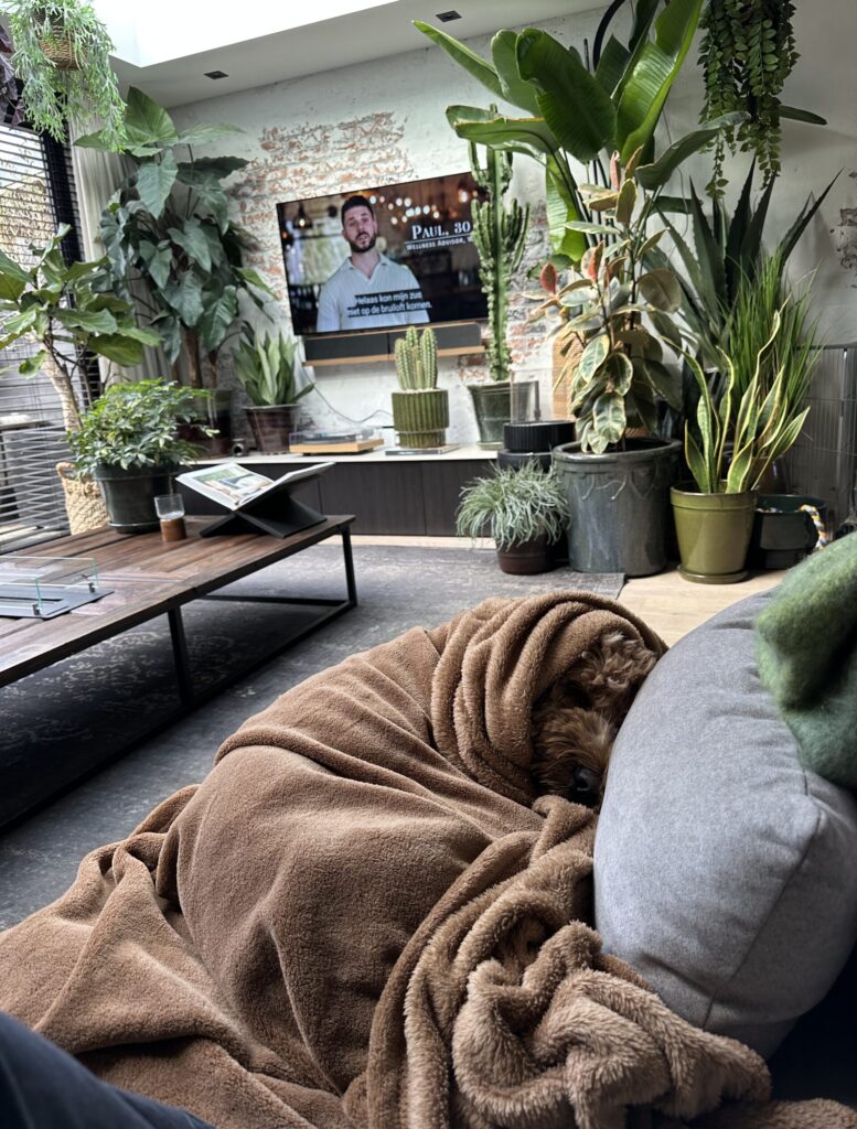 Thuis bij Familie over de Kook – week 13