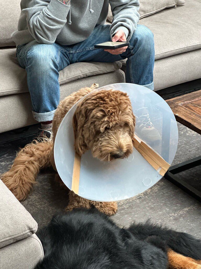 Thuis bij Familie over de Kook – week 17