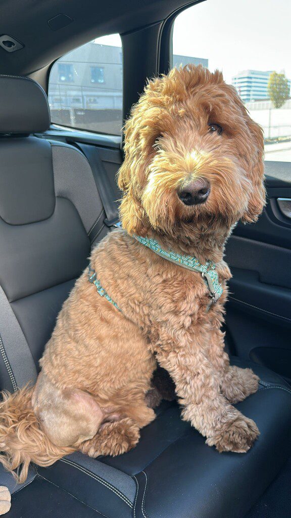 Thuis bij Familie over de Kook – week 15