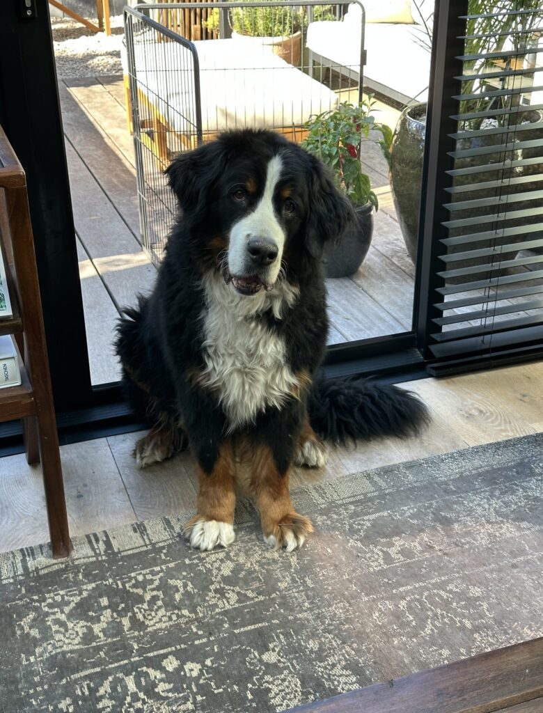 Thuis bij Familie over de Kook – week 16