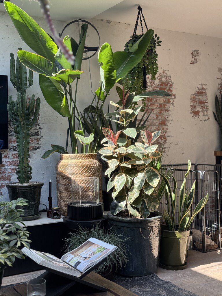 Thuis bij Familie over de Kook – week 16