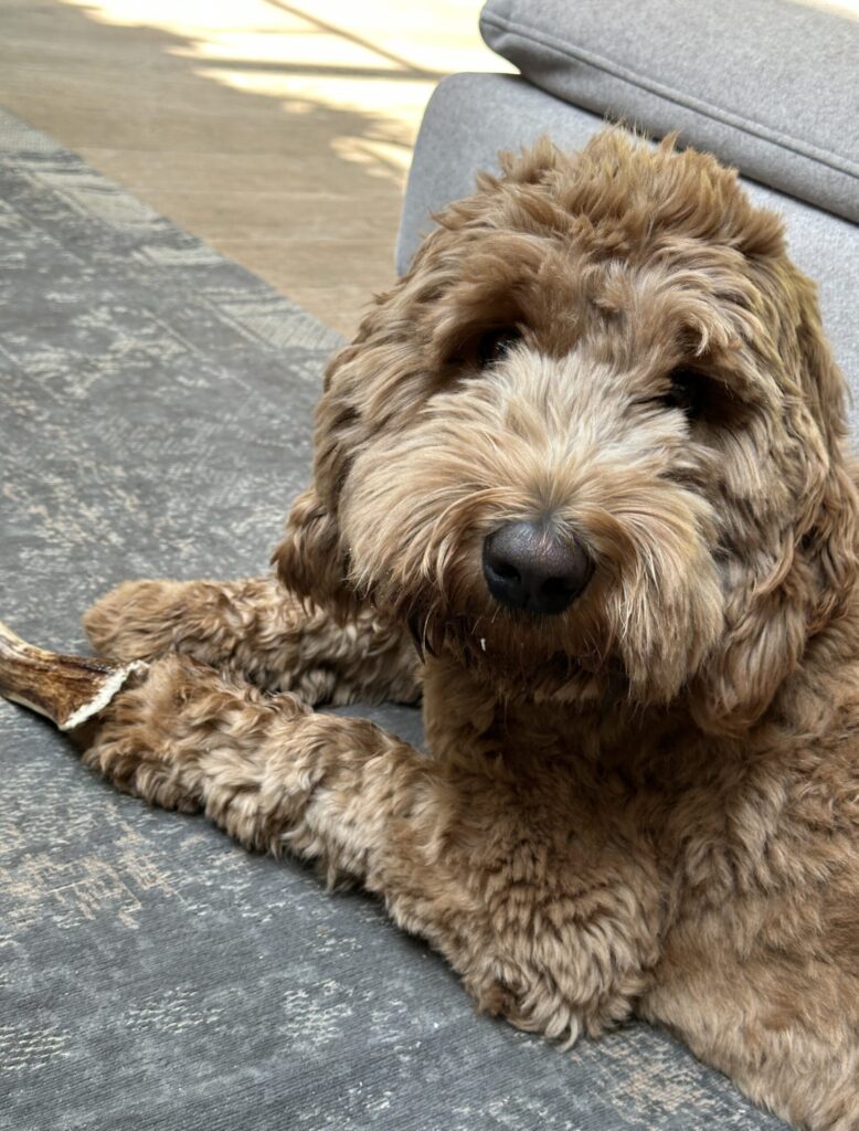 Thuis bij Familie over de Kook – week 16