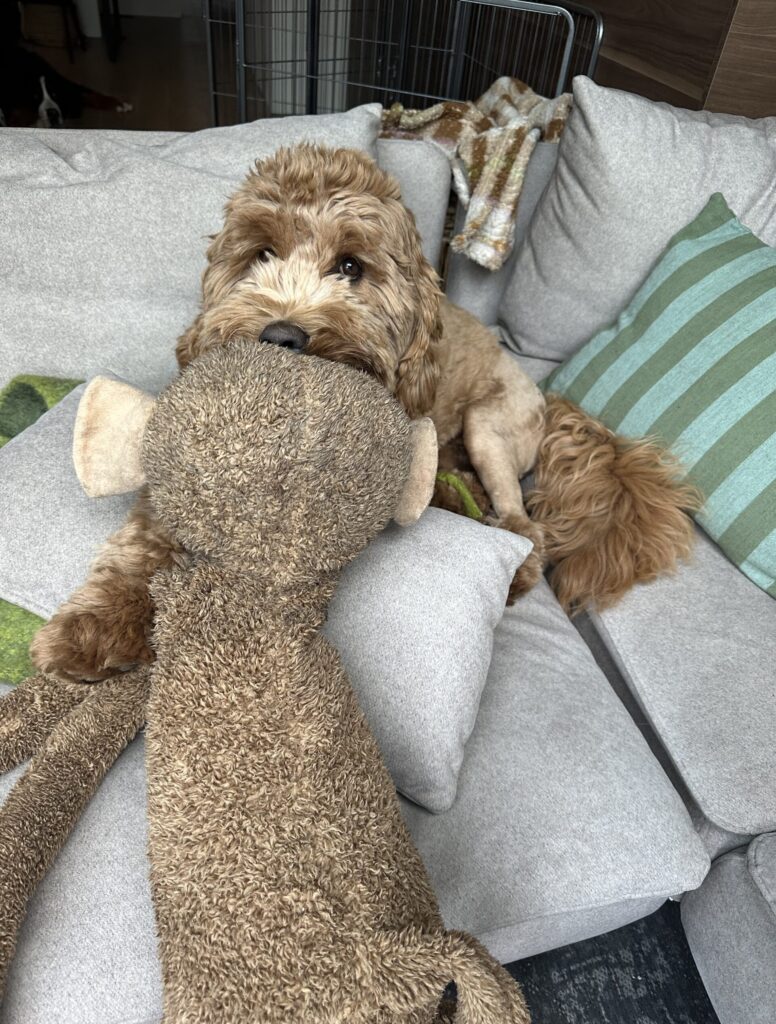 Thuis bij Familie over de Kook – week 16