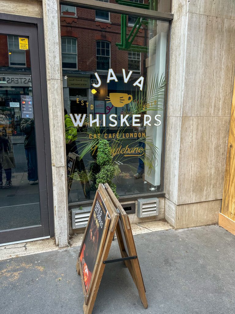 Mijn Londen stedentrip ervaring en tips