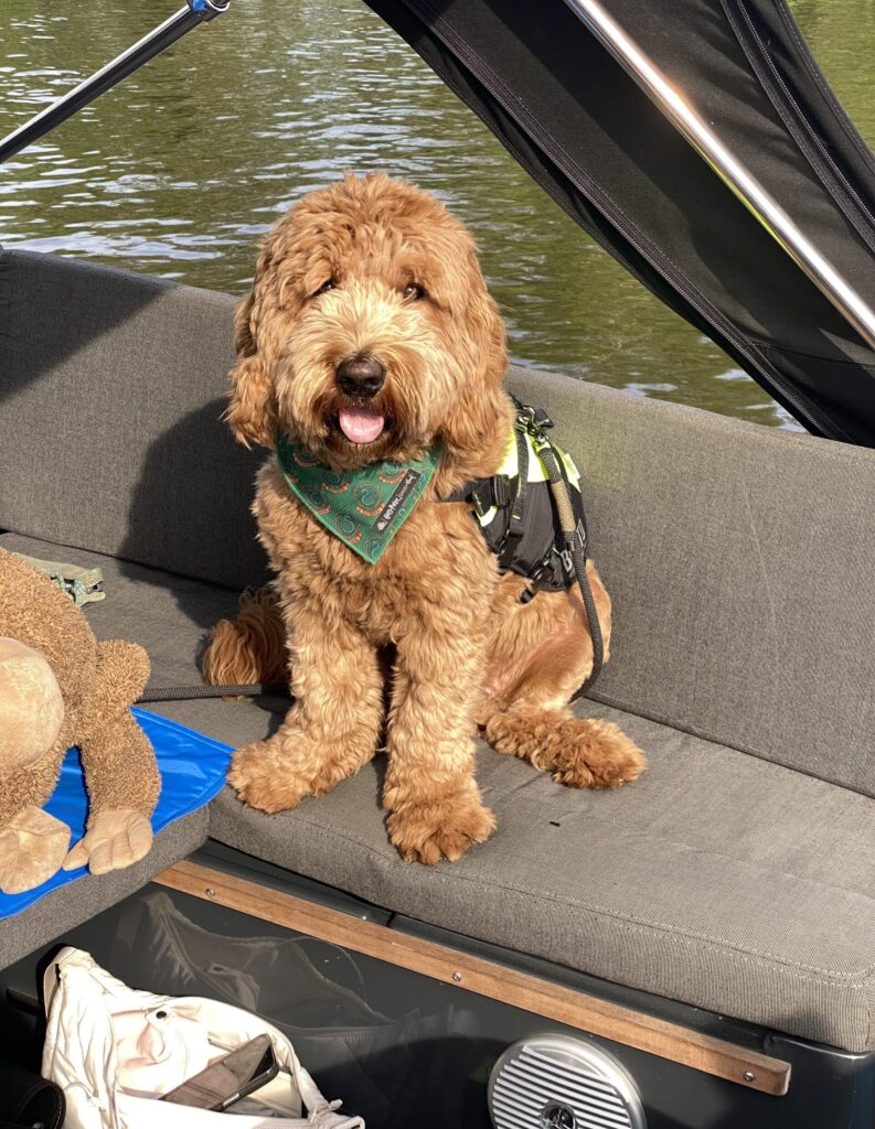 Thuis bij Familie over de Kook – week 18