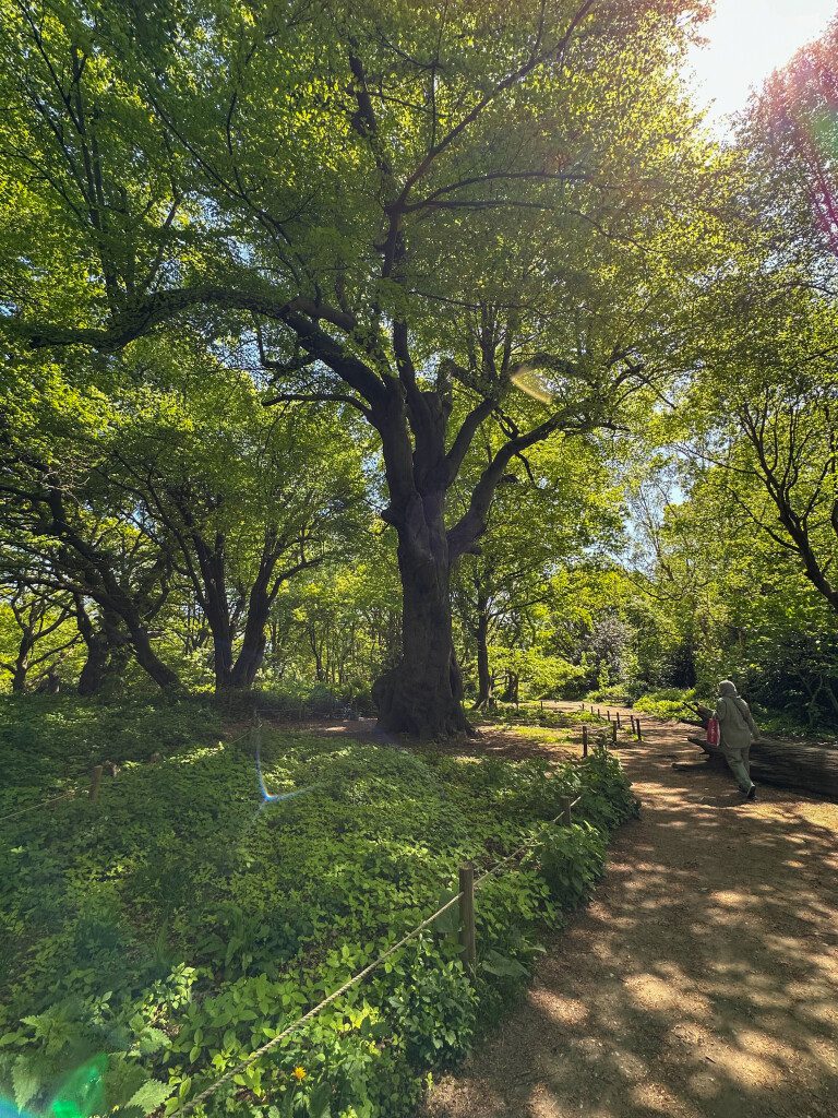 Mijn Londen stedentrip ervaring en tips