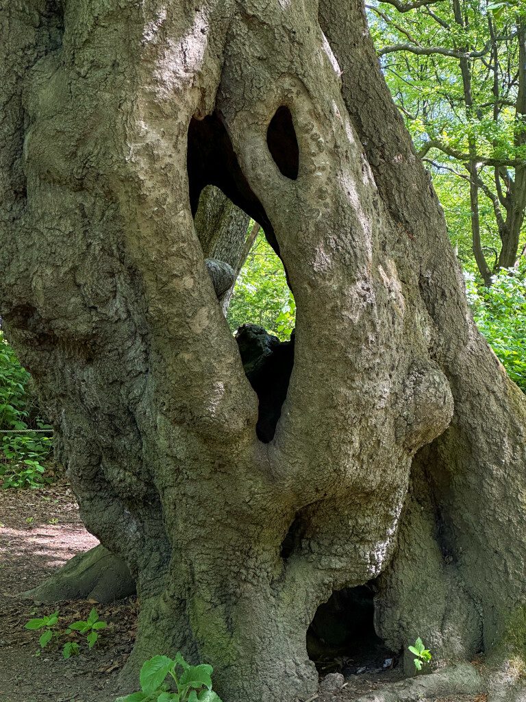 Mijn Londen stedentrip ervaring en tips