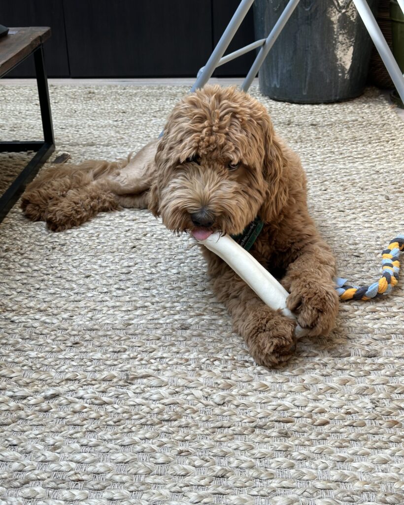 Thuis bij Familie over de Kook – week 18