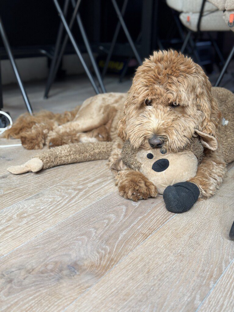 Thuis bij Familie over de Kook – week 18