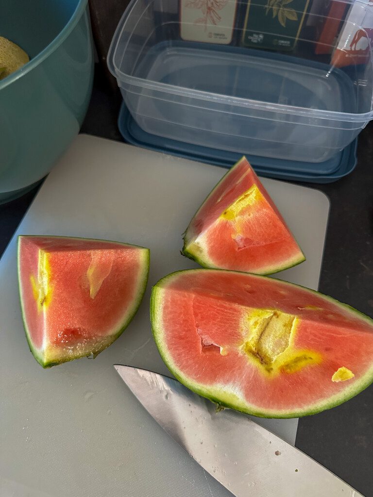 Thuis bij Familie over de Kook – week 20