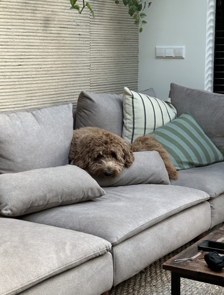 Thuis bij Familie over de Kook: week 21