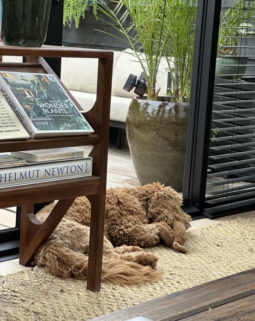 Thuis bij Familie over de Kook – Week 21