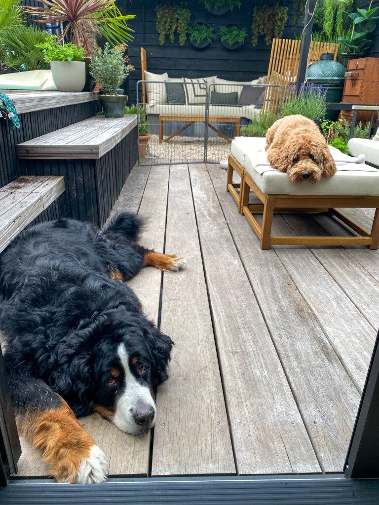 Thuis bij Familie over de Kook – week 23