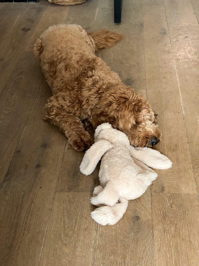 Thuis bij Familie over de Kook – week 23