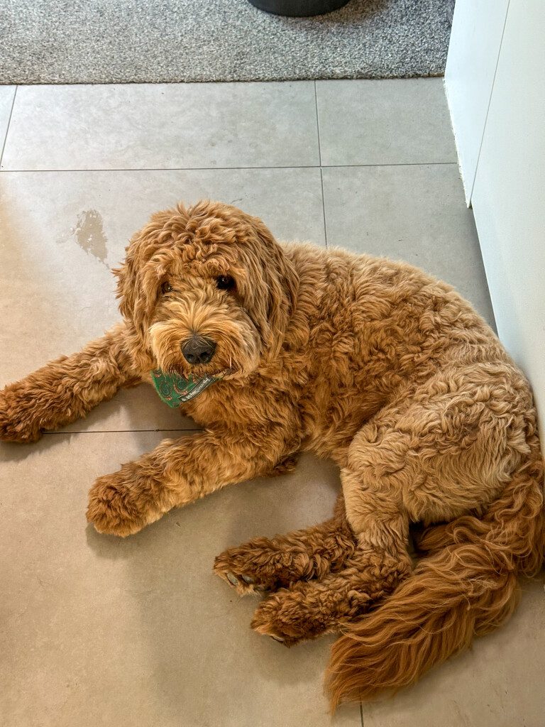 Thuis bij Familie over de Kook: week 22