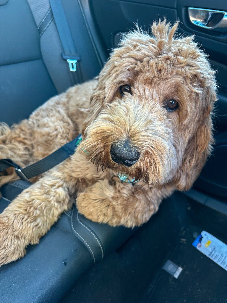 Thuis bij Familie over de Kook: week 22