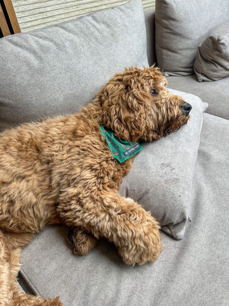 Thuis bij Familie over de Kook – week 22