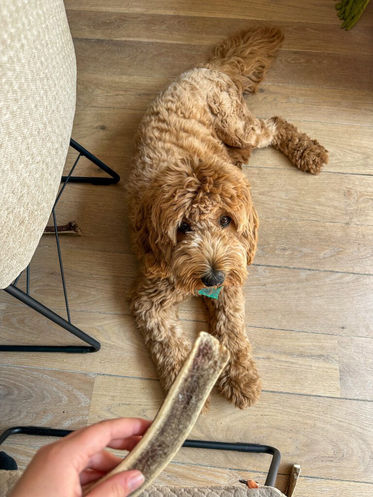 Thuis bij Familie over de Kook – week 22