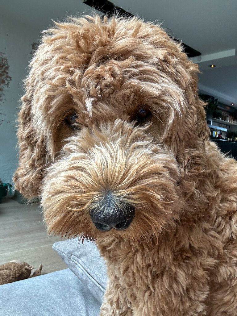 Thuis bij Familie over de Kook – week 23