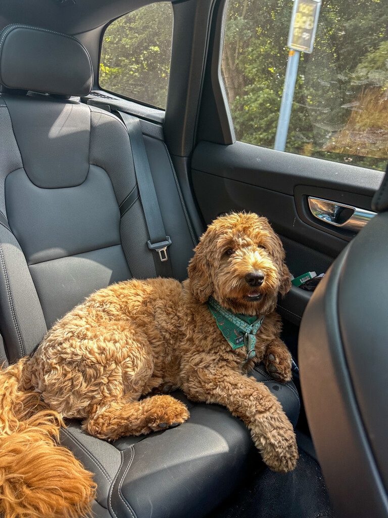 Thuis bij Familie over de Kook: week 24