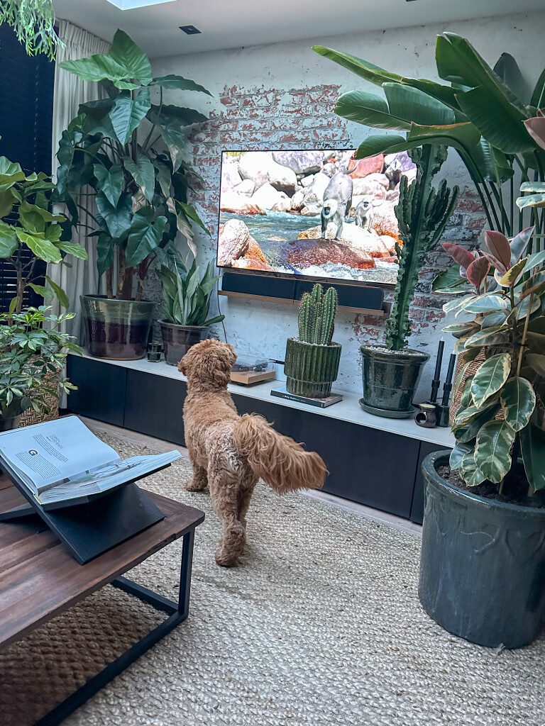 Thuis bij Familie over de Kook: week 24