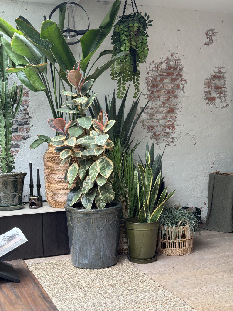 Thuis bij Familie over de Kook – week 22