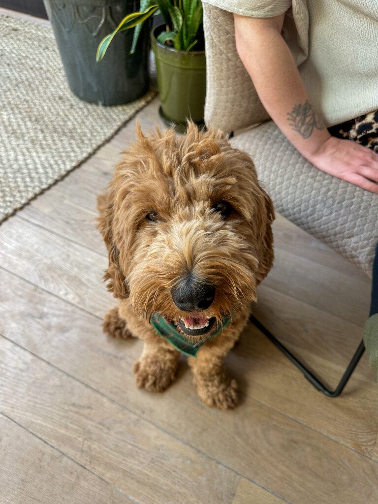 Thuis bij familie over de kook: week 26