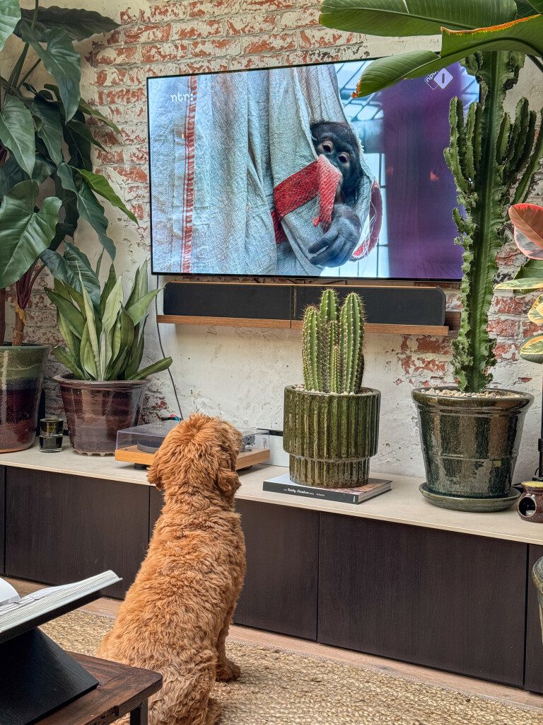 Thuis bij Familie over de Kook: week 25